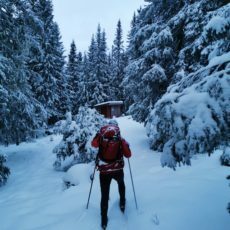 Turtips: Vintereventyr i gammelskogen