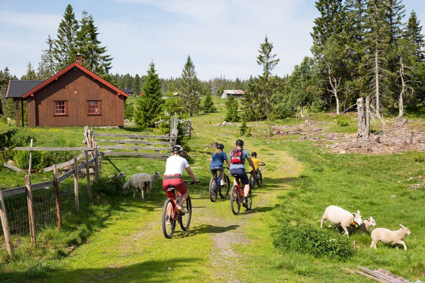 Sykkeltur forbi seterhus på Budor