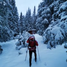 Turforslag: Vintereventyr i gammelskogen