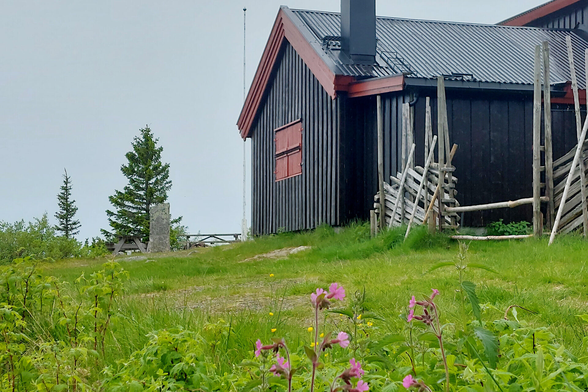 Brunt hus med rosa blomst foran