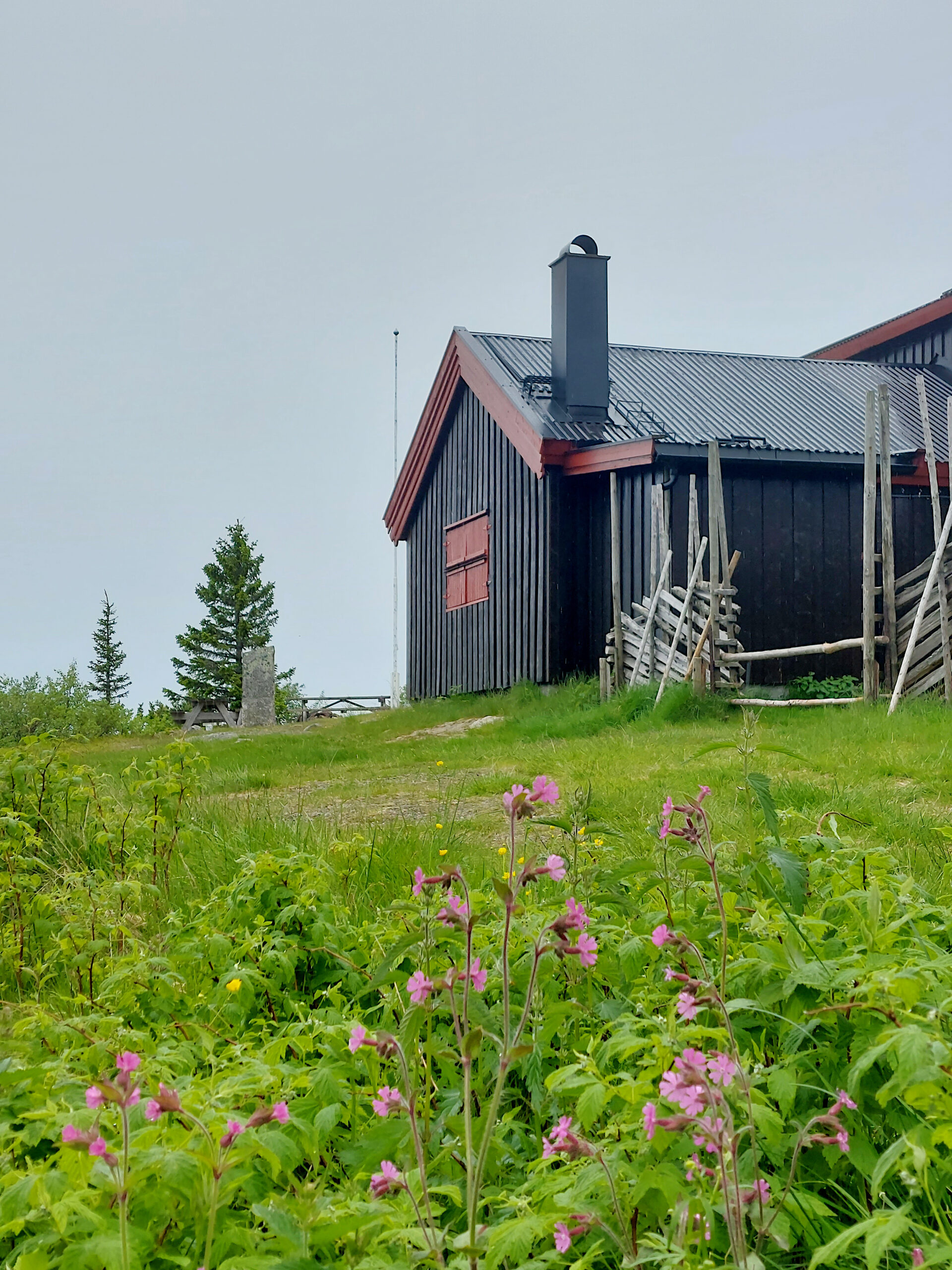 Brunt hus med rosa blomst foran