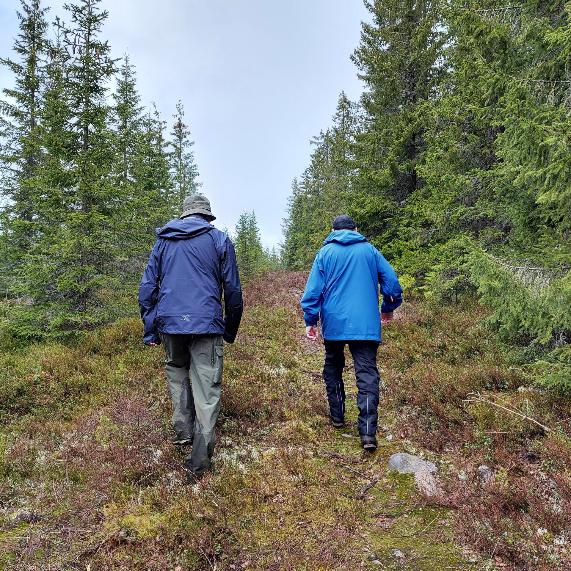 to menn som går tur på bred sti i skog