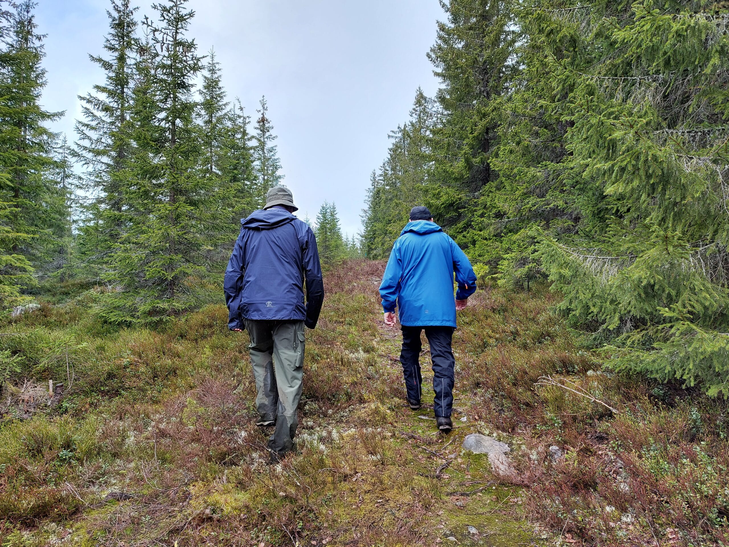to menn som går tur på bred sti i skog