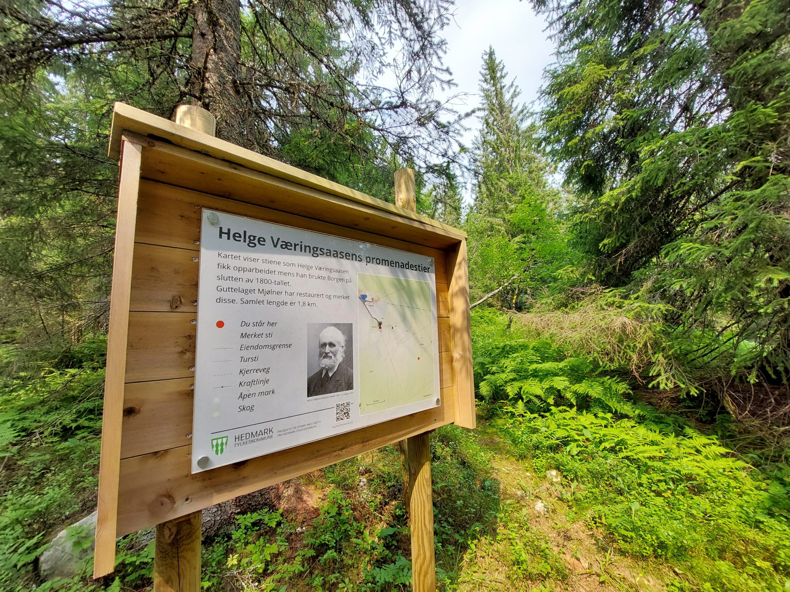 skilt i skog
