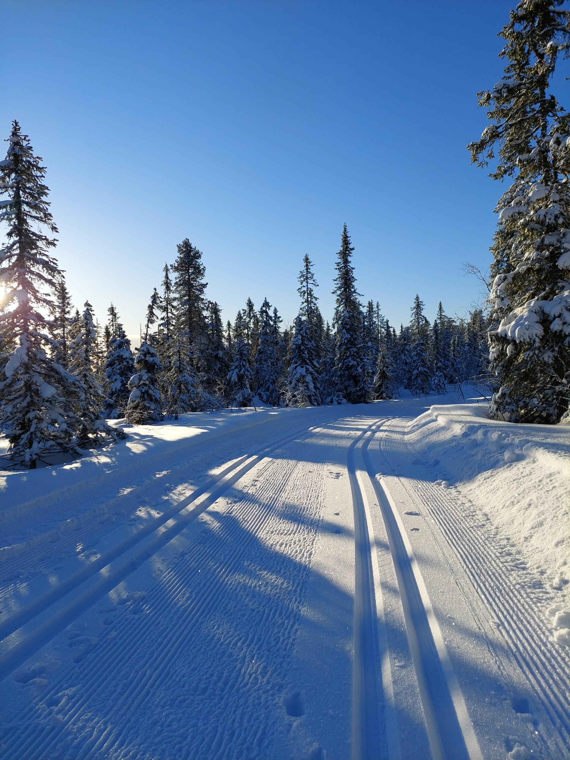 skiløype med blå himmel og sol