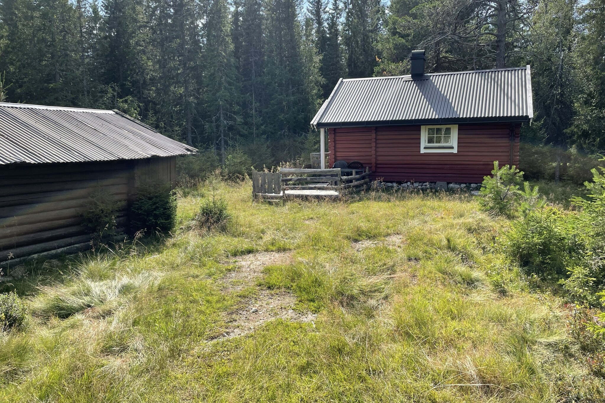 rød koie i skogen med gressplass foran