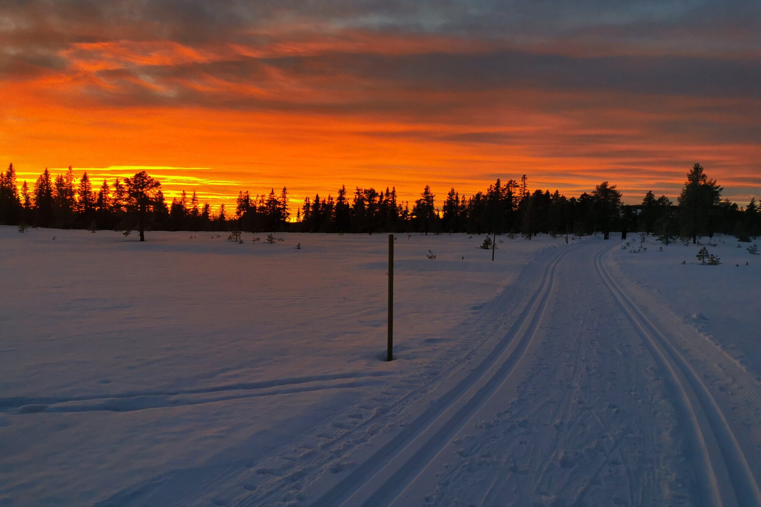 skiløype med oransje himmel over