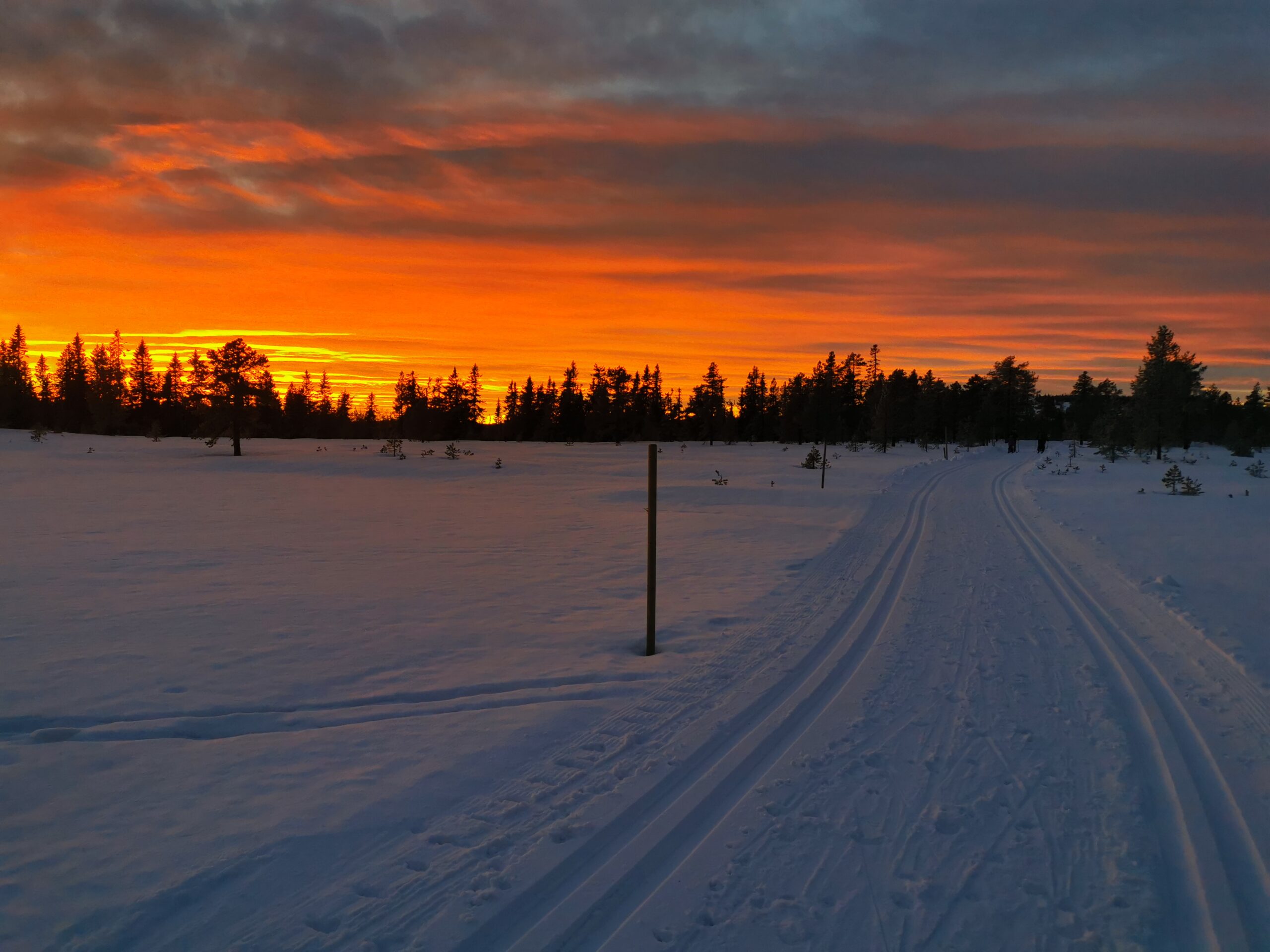 skiløype med oransje himmel over