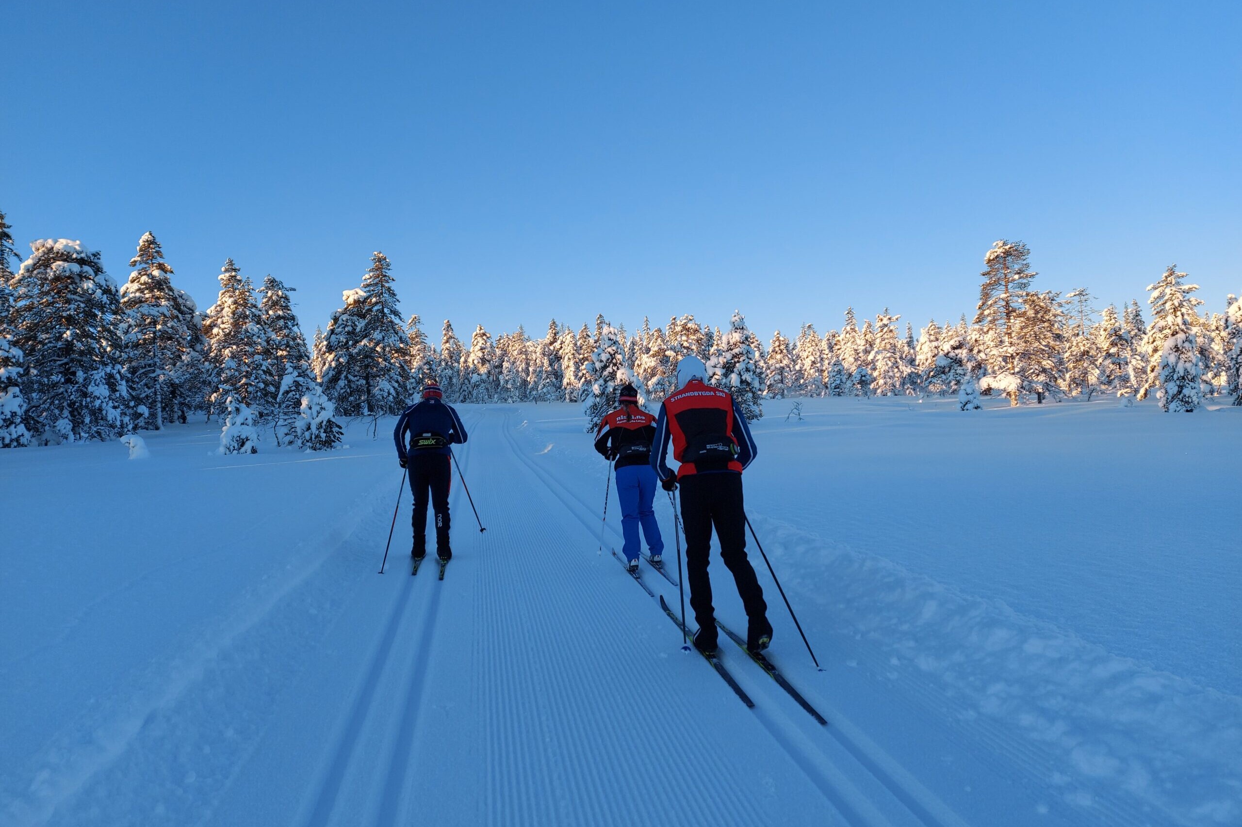 tre skiløpere som går på ski