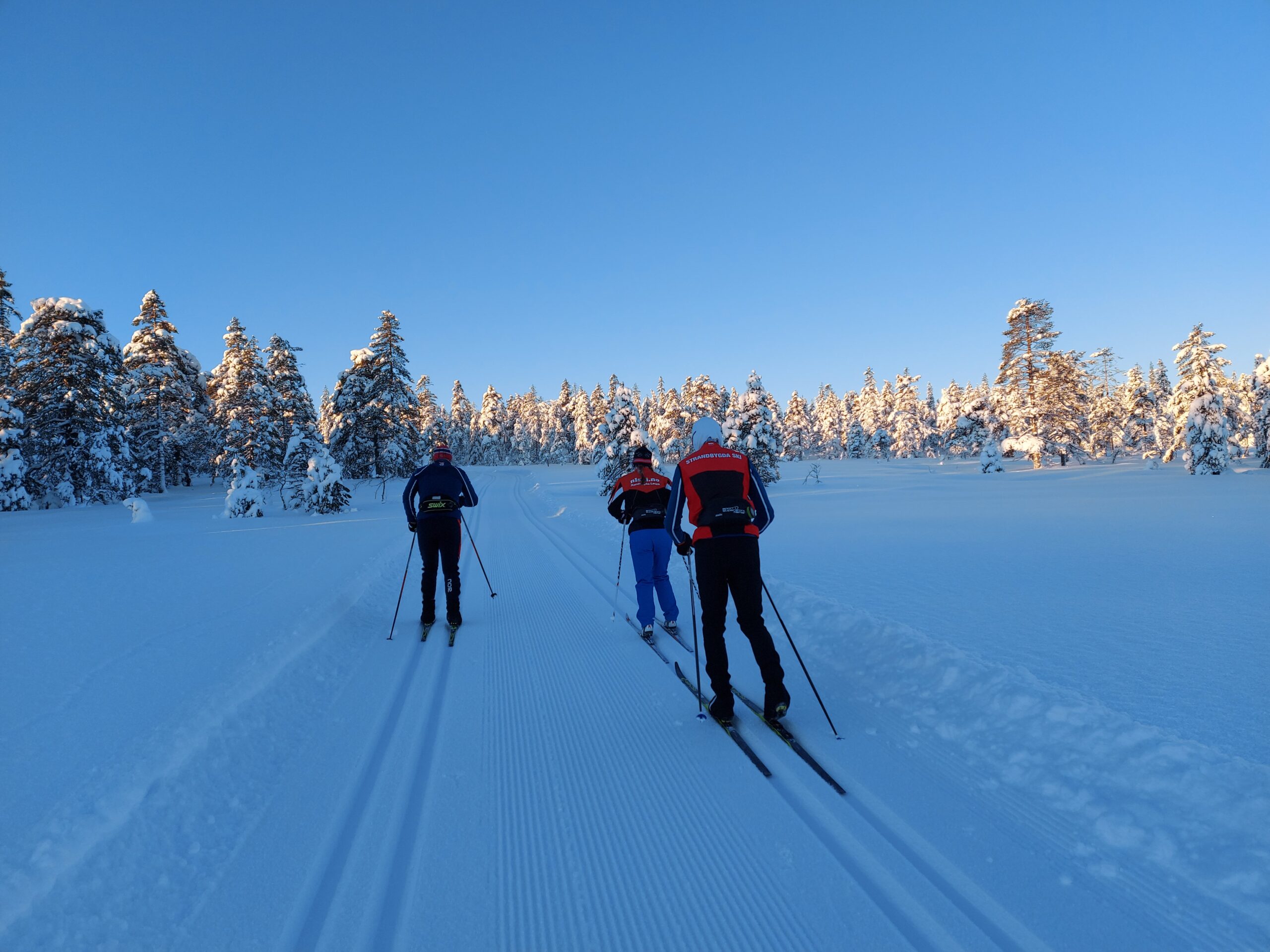 tre skiløpere som går på ski