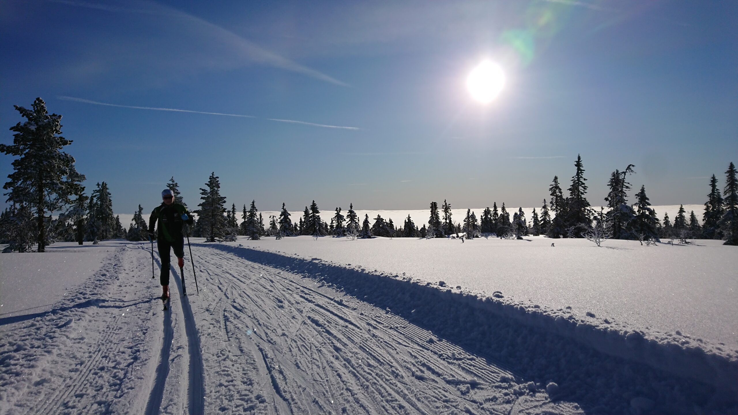 skiløper i solskinn