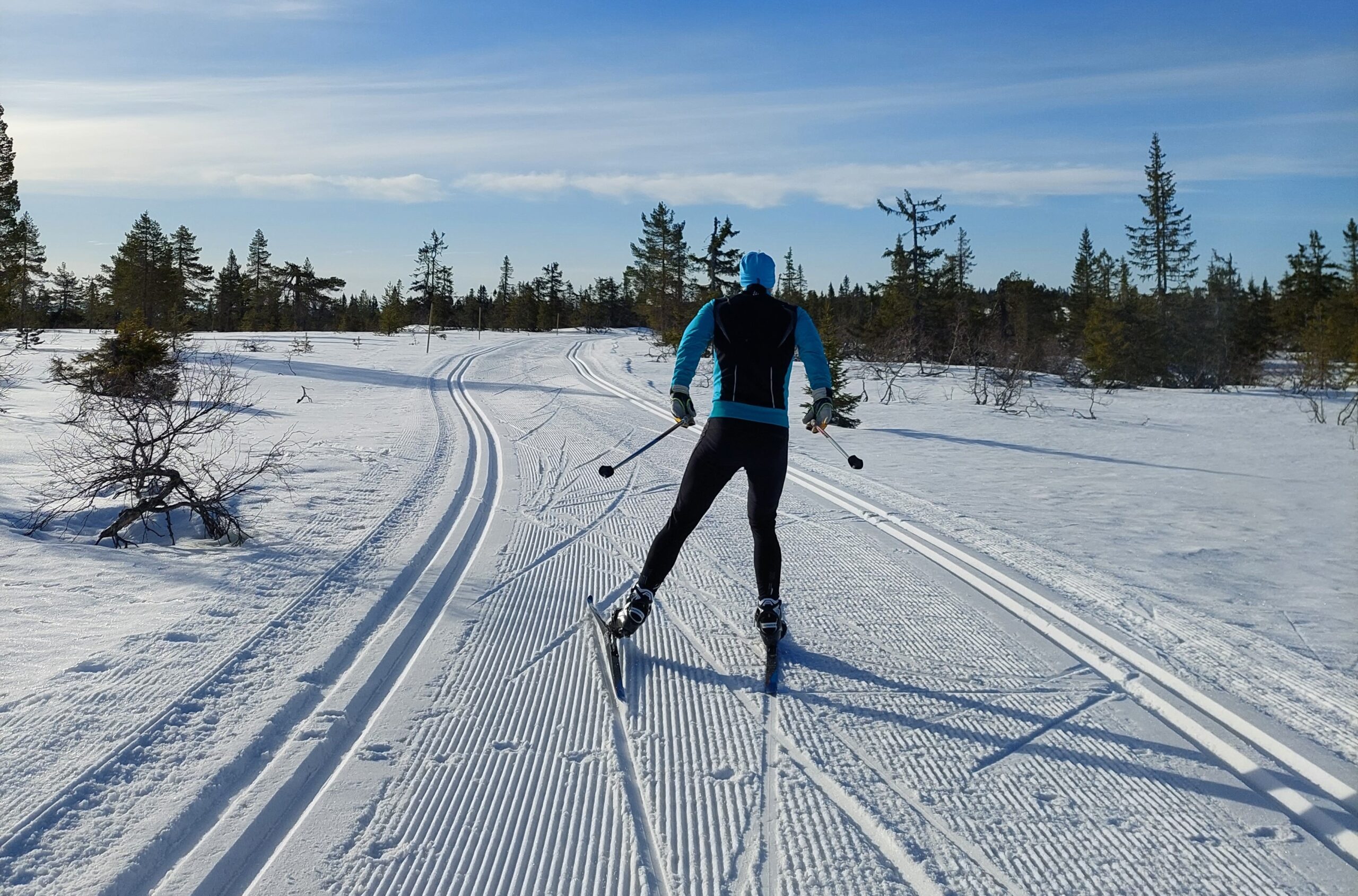 Mann skøyter i skispor