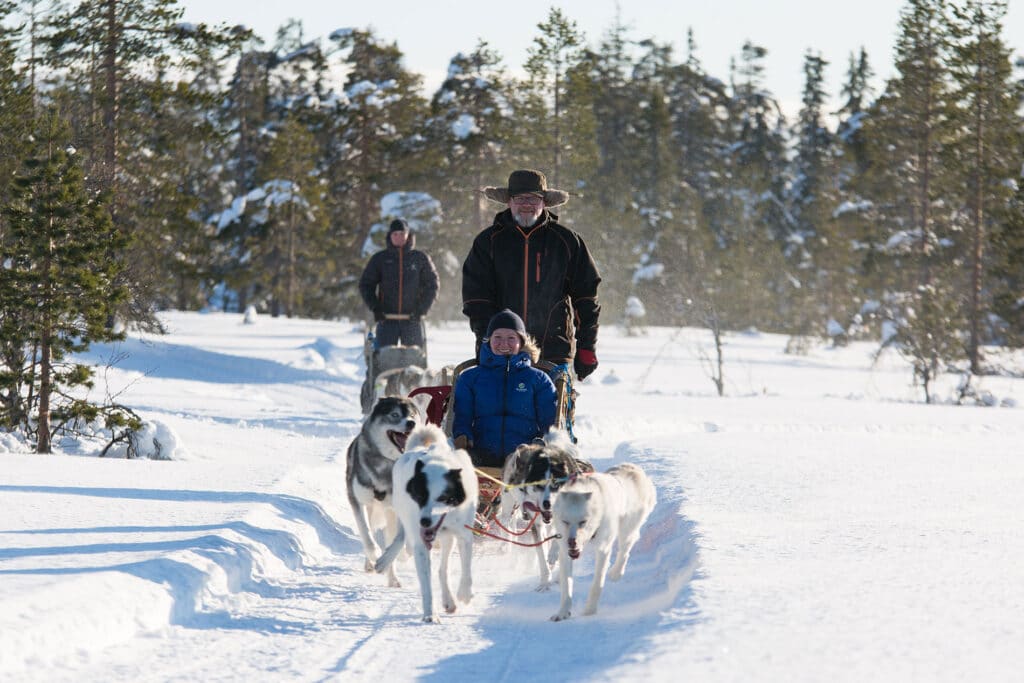 Hundekjøring på Østlandet med Hedmarksvidda Husky