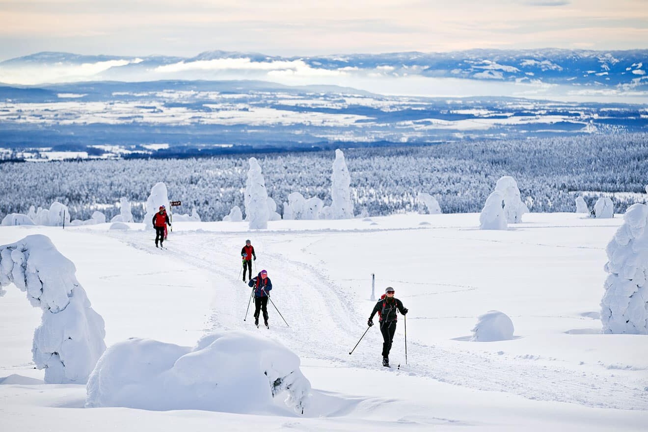 Langrenn på Budor gir en snøsikker opplevelse i fjellterreng på Hedmarksvidda