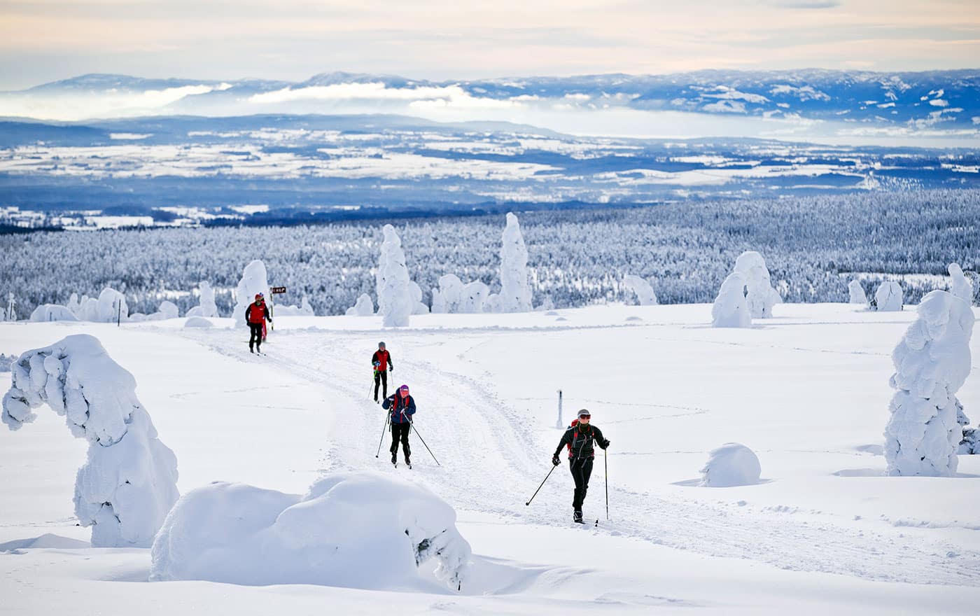 Langrenn på Budor gir en snøsikker opplevelse i fjellterreng på Hedmarksvidda
